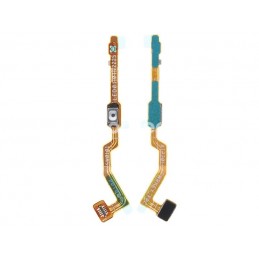 Accensione Flex Cable ROG...