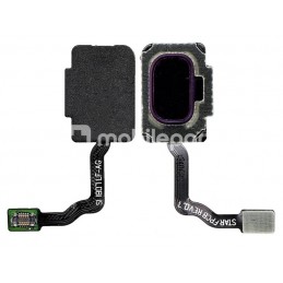 Home Button Purple Flat...