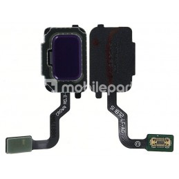 Home Button Purple Flat...