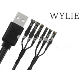 WYLIE Boot Line DC Power...