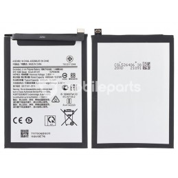 copy of Battery WT-W1...